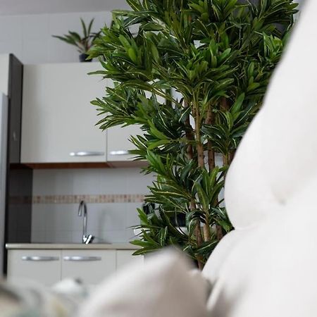 Trinidad Aparment Lägenhet Málaga Exteriör bild