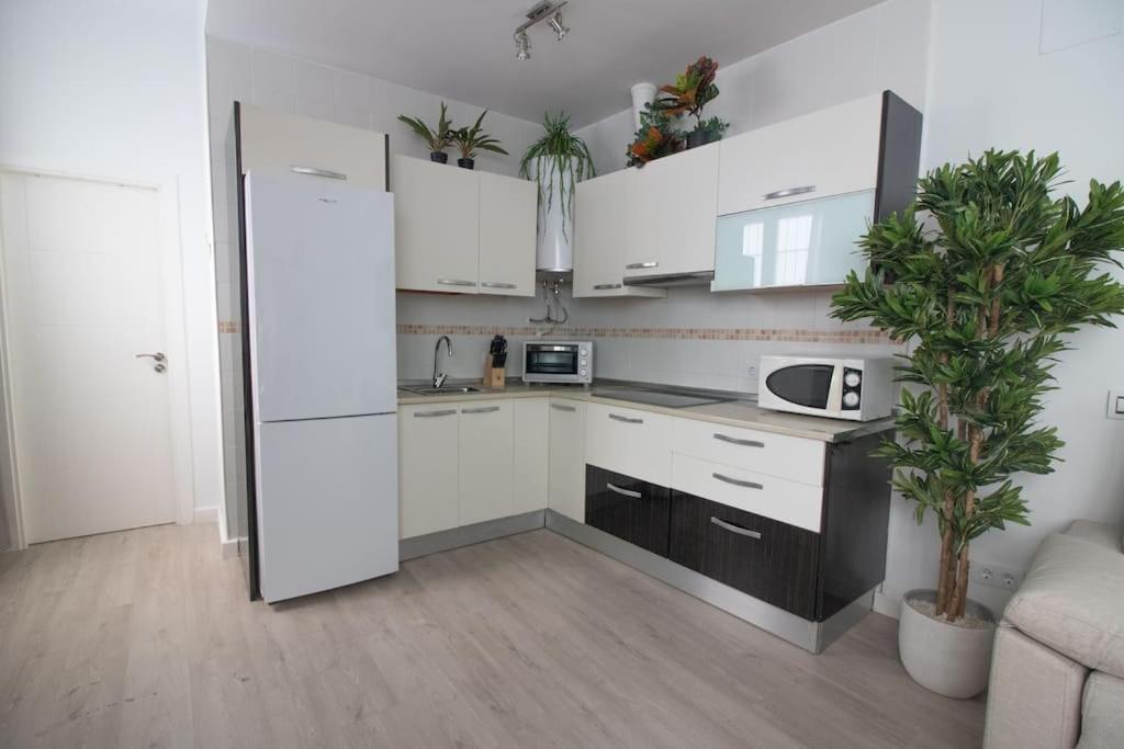 Trinidad Aparment Lägenhet Málaga Exteriör bild
