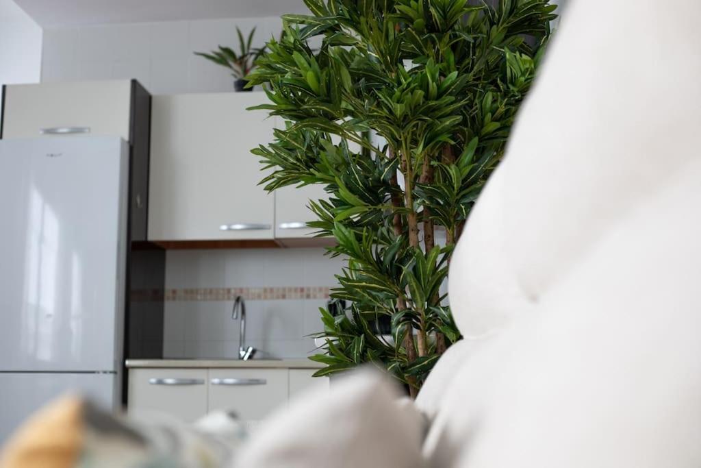Trinidad Aparment Lägenhet Málaga Exteriör bild